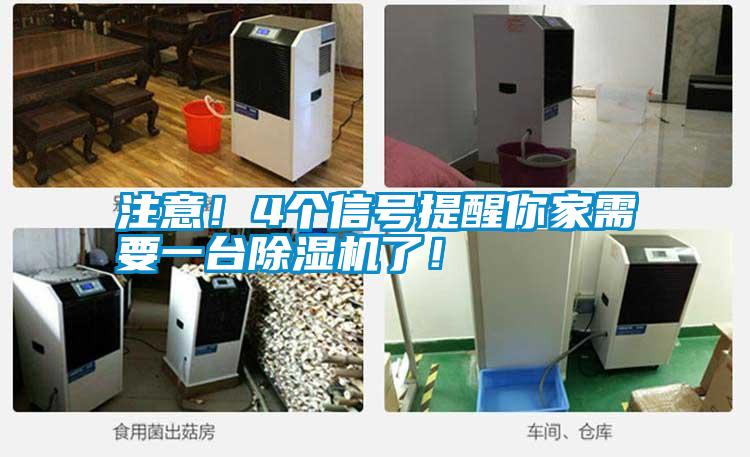 注意！4個信號提醒你家需要一臺除濕機了！