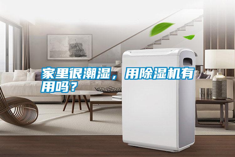 家里很潮濕，用除濕機有用嗎？