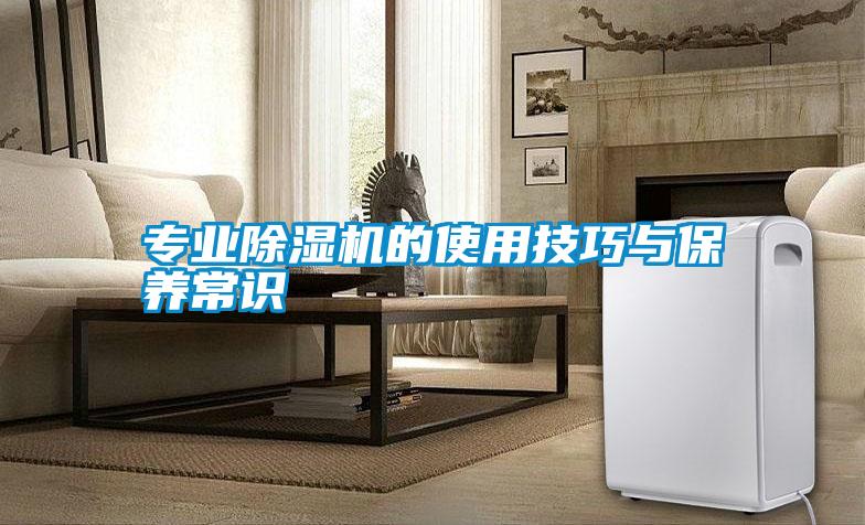 專業(yè)除濕機(jī)的使用技巧與保養(yǎng)常識