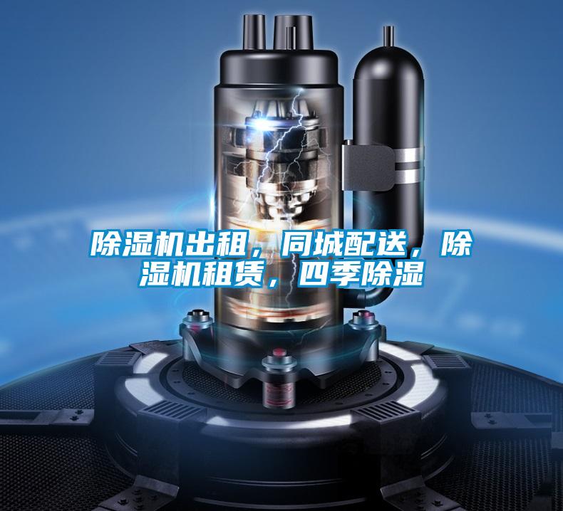除濕機(jī)出租，同城配送，除濕機(jī)租賃，四季除濕