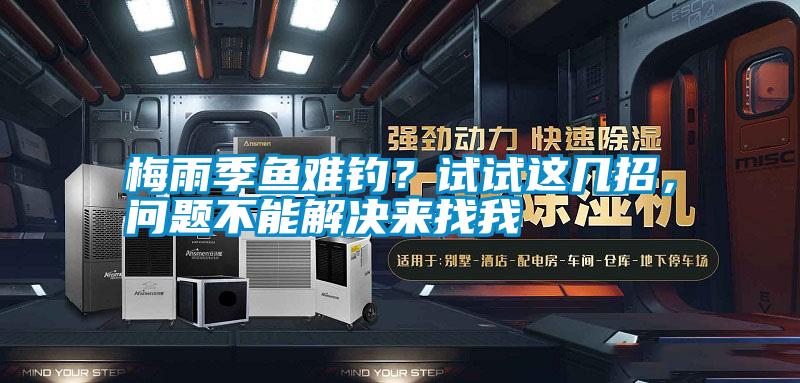 梅雨季魚難釣？試試這幾招，問題不能解決來找我