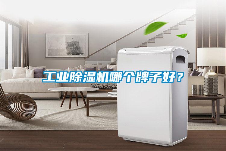 工業除濕機哪個牌子好？
