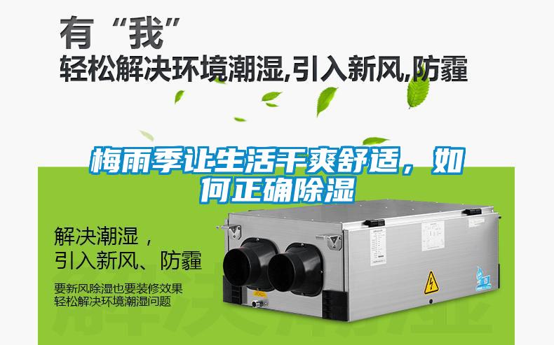 梅雨季讓生活干爽舒適，如何正確除濕