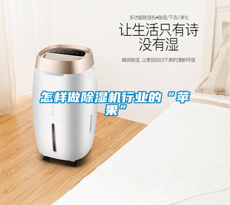 怎樣做除濕機行業的“蘋果”