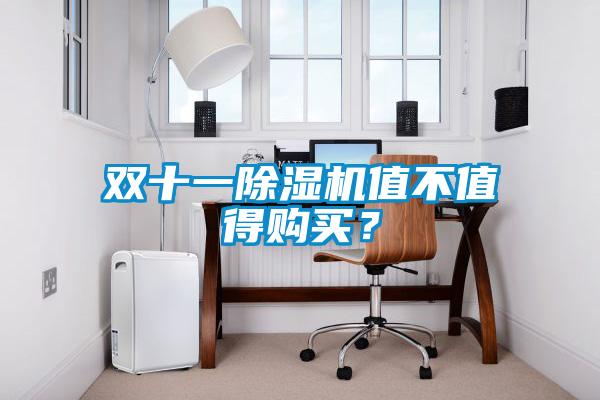 雙十一除濕機(jī)值不值得購買？