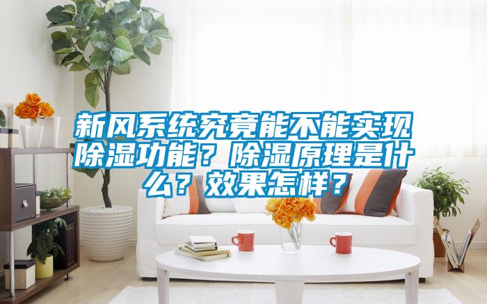 新風系統究竟能不能實現除濕功能？除濕原理是什么？效果怎樣？
