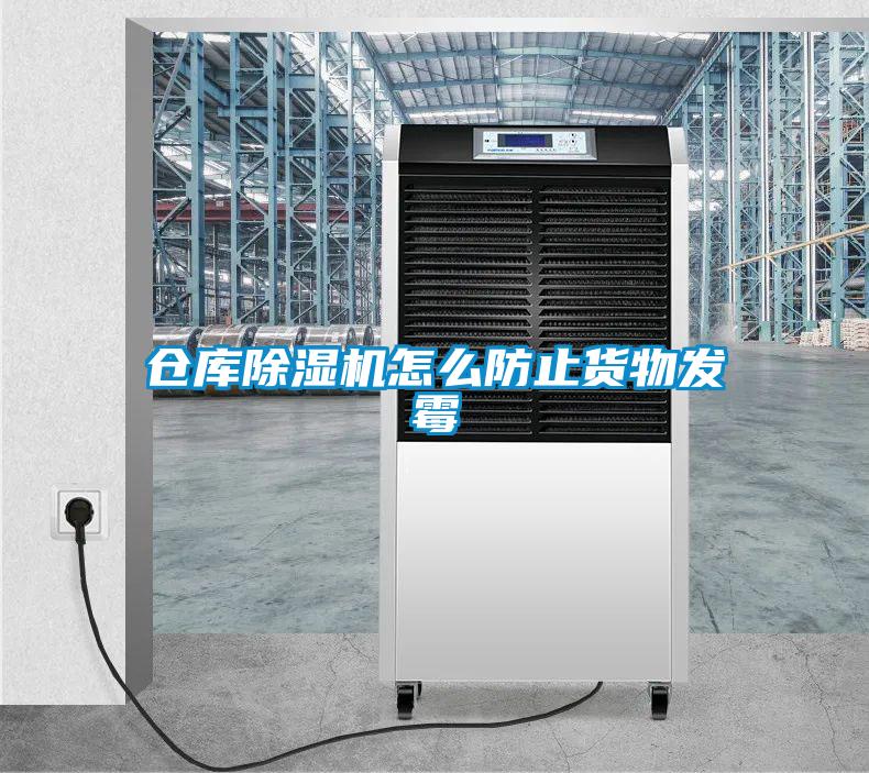 倉庫除濕機怎么防止貨物發霉