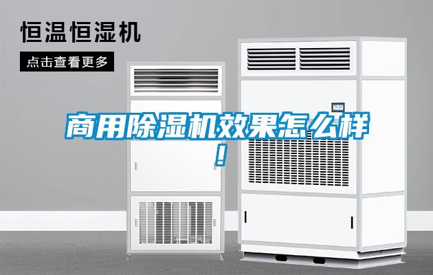 商用除濕機效果怎么樣！