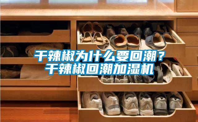 干辣椒為什么要回潮？干辣椒回潮加濕機