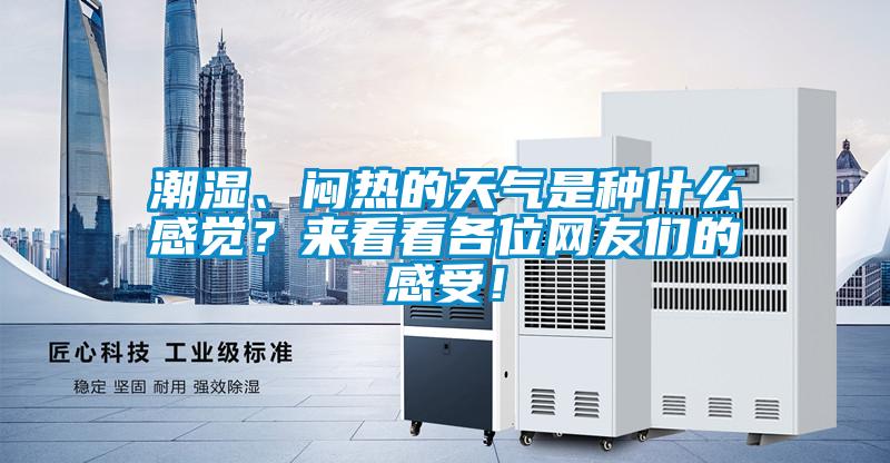 潮濕、悶熱的天氣是種什么感覺？來看看各位網友們的感受！