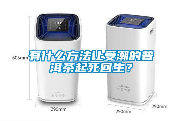 有什么方法讓受潮的普洱茶起死回生？
