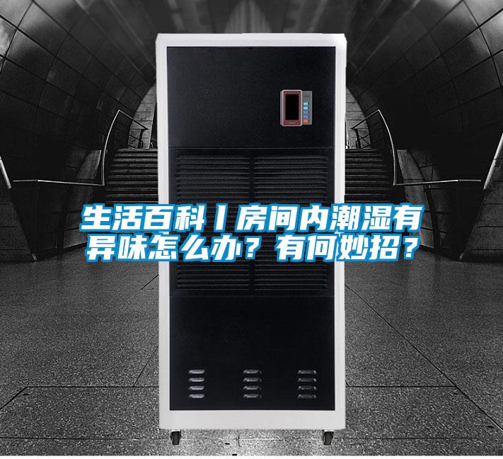 生活百科丨房間內潮濕有異味怎么辦？有何妙招？