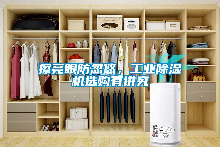 擦亮眼防忽悠，工業除濕機選購有講究