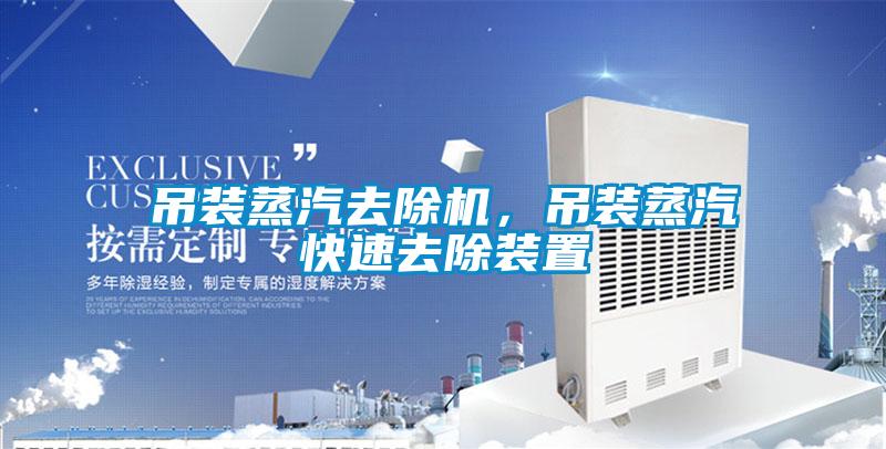 吊裝蒸汽去除機(jī)，吊裝蒸汽快速去除裝置