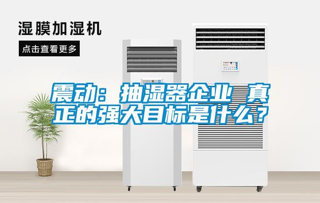 震動：抽濕器企業(yè) 真正的強(qiáng)大目標(biāo)是什么？
