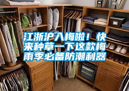 江浙滬入梅啦！快來種草一下這款梅雨季必備防潮利器
