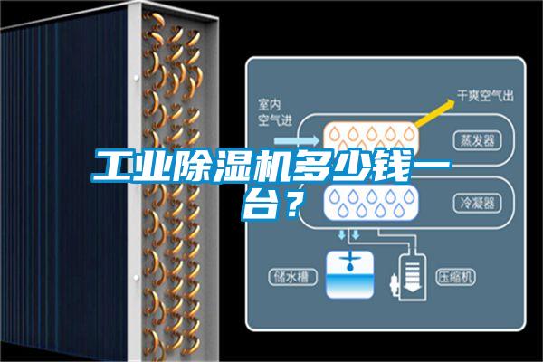 工業(yè)除濕機(jī)多少錢(qián)一臺(tái)？