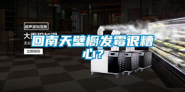 回南天壁櫥發(fā)霉很糟心？