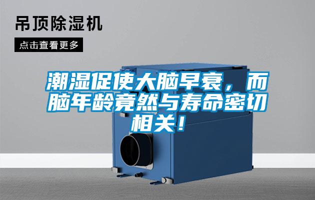 潮濕促使大腦早衰，而腦年齡竟然與壽命密切相關！