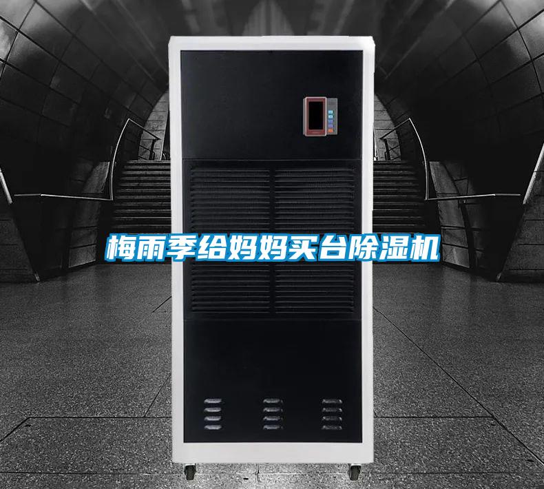 梅雨季給媽媽買臺除濕機(jī)
