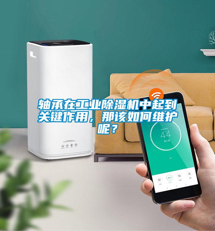 軸承在工業除濕機中起到關鍵作用，那該如何維護呢？