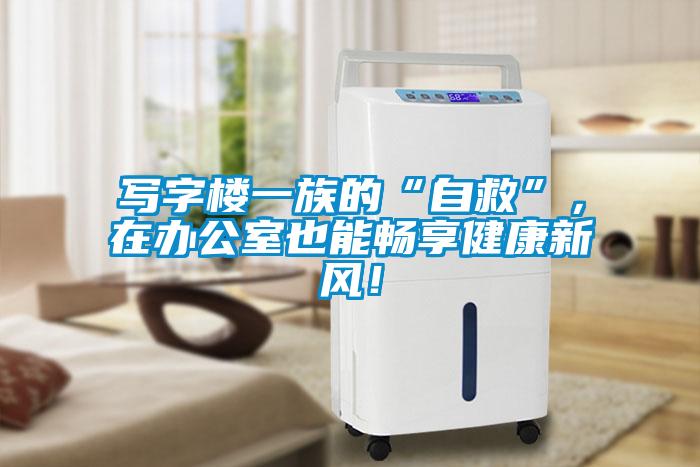 寫字樓一族的“自救”，在辦公室也能暢享健康新風(fēng)！