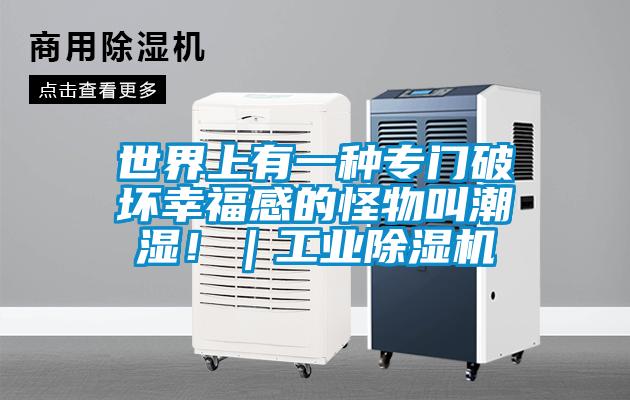 世界上有一種專門破壞幸福感的怪物叫潮濕！｜工業(yè)除濕機