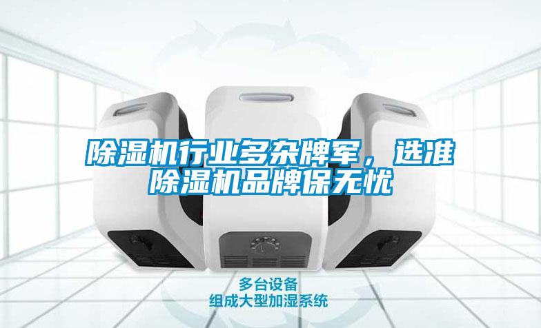 除濕機(jī)行業(yè)多雜牌軍，選準(zhǔn)除濕機(jī)品牌保無憂