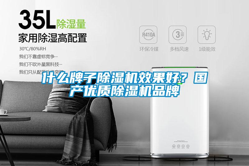 什么牌子除濕機效果好？國產(chǎn)優(yōu)質(zhì)除濕機品牌