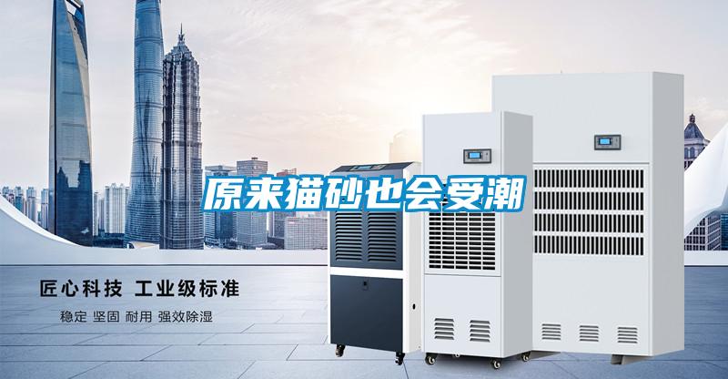 原來貓砂也會(huì)受潮