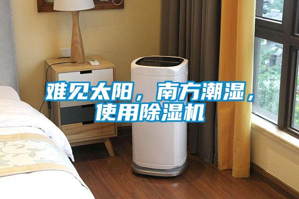 難見太陽，南方潮濕，使用除濕機