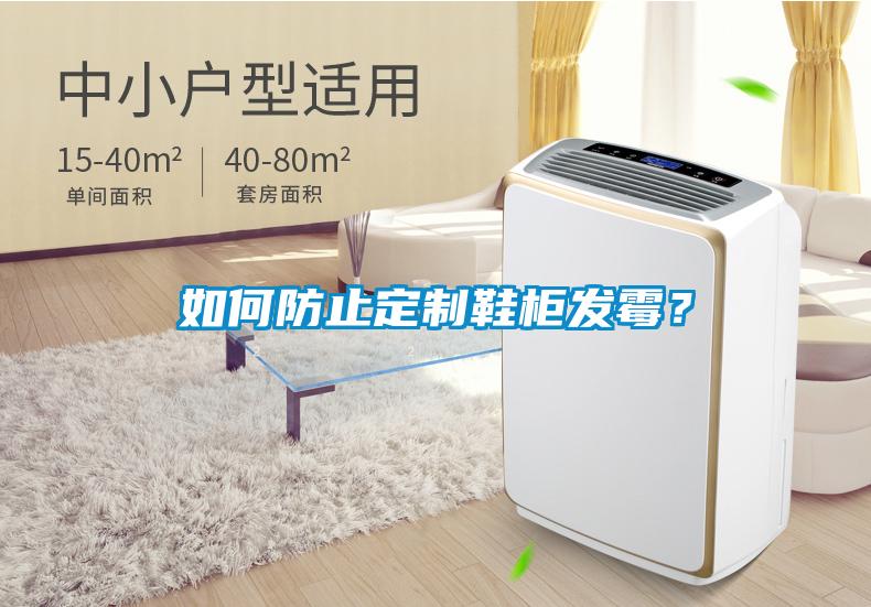 如何防止定制鞋柜發霉？