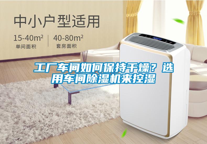 工廠車(chē)間如何保持干燥？選用車(chē)間除濕機(jī)來(lái)控濕