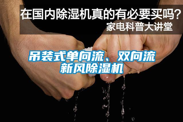 吊裝式單向流、雙向流新風除濕機