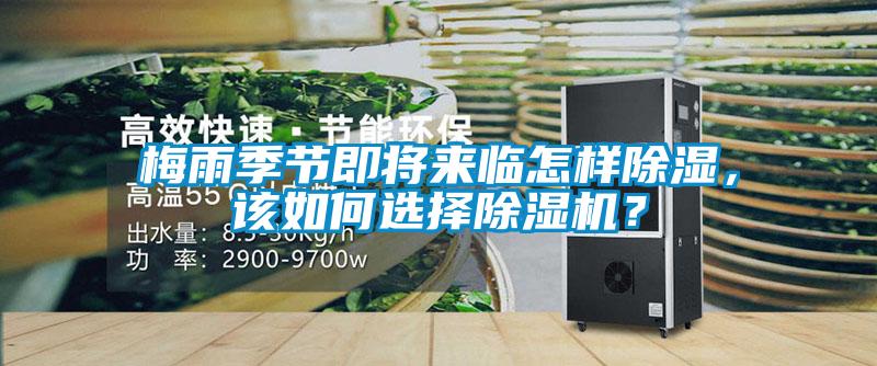 梅雨季節即將來臨怎樣除濕，該如何選擇除濕機？