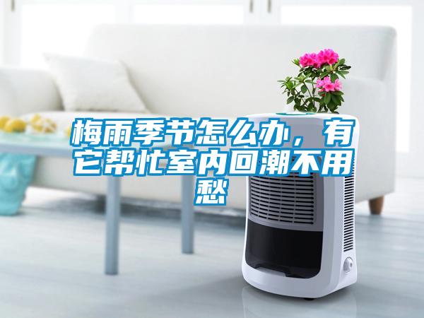 梅雨季節(jié)怎么辦，有它幫忙室內(nèi)回潮不用愁