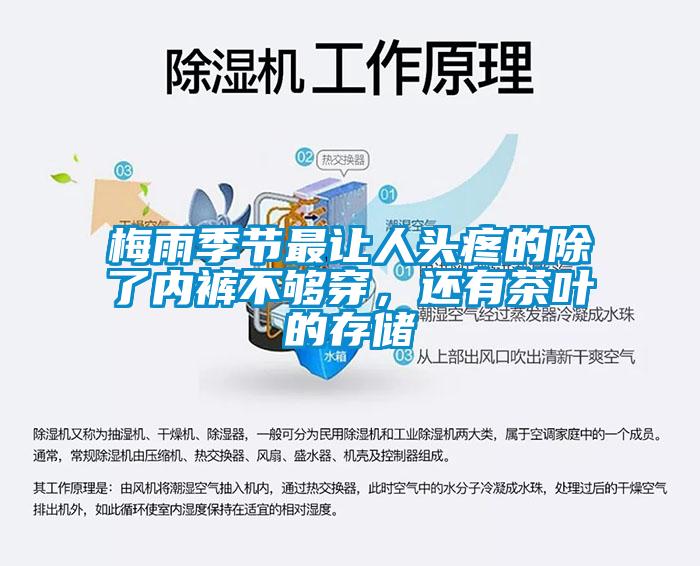 梅雨季節最讓人頭疼的除了內褲不夠穿，還有茶葉的存儲