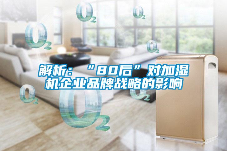 解析：“80后”對加濕機(jī)企業(yè)品牌戰(zhàn)略的影響