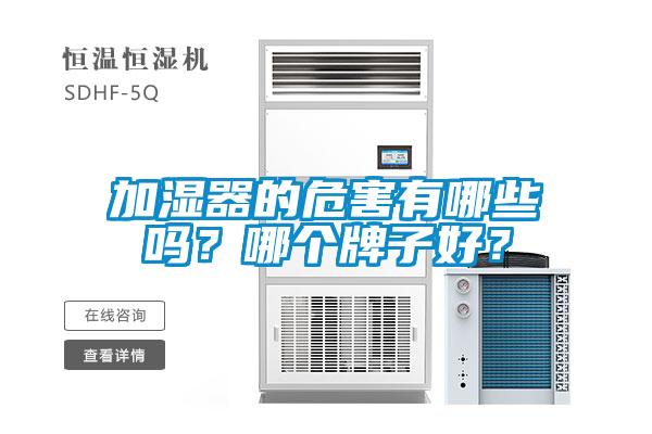 加濕器的危害有哪些嗎？哪個(gè)牌子好？