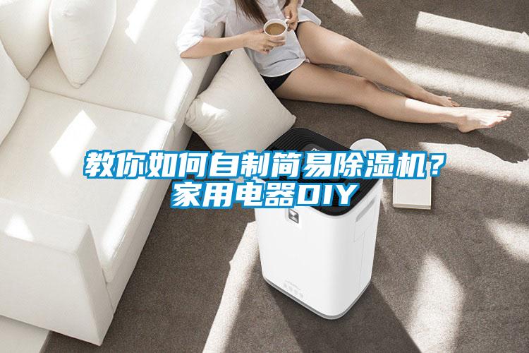 教你如何自制簡易除濕機？家用電器DIY