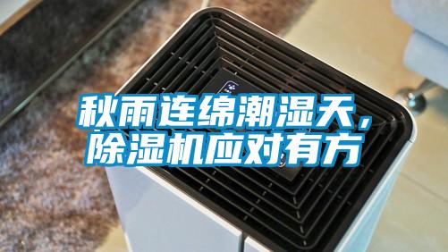 秋雨連綿潮濕天，除濕機應對有方