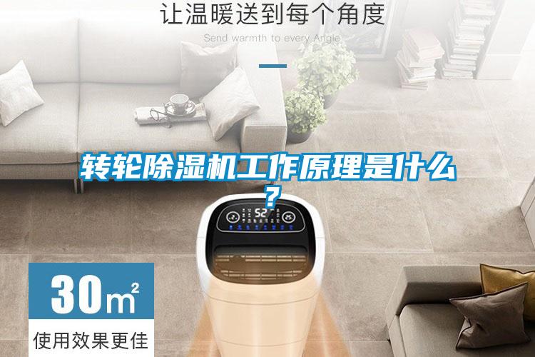 轉輪除濕機工作原理是什么？