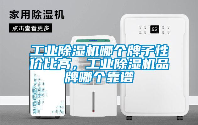 工業(yè)除濕機(jī)哪個(gè)牌子性?xún)r(jià)比高，工業(yè)除濕機(jī)品牌哪個(gè)靠譜