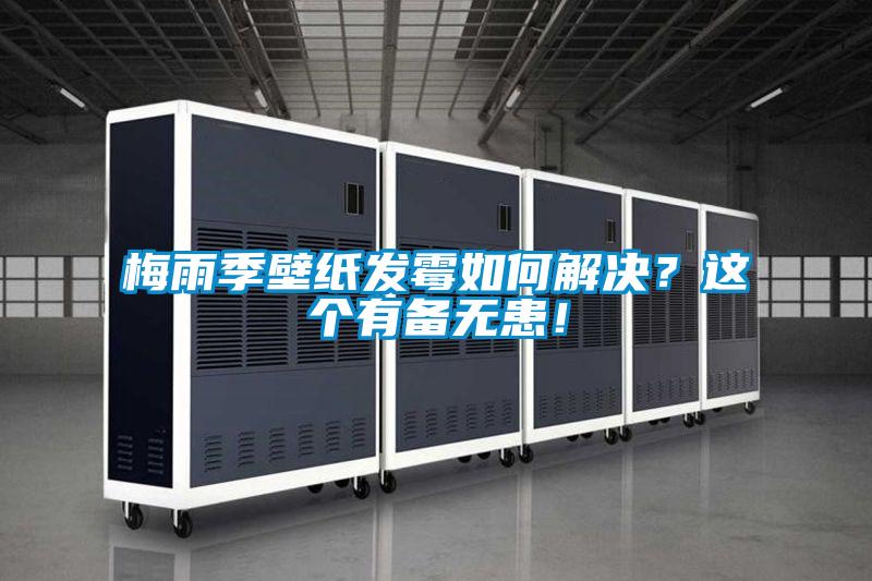 梅雨季壁紙發(fā)霉如何解決？這個有備無患！