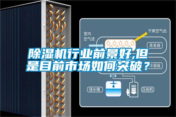 除濕機行業前景好,但是目前市場如何突破？