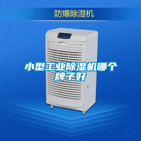小型工業除濕機哪個牌子好