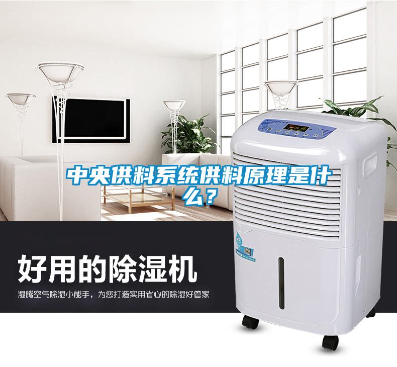 中央供料系統(tǒng)供料原理是什么？