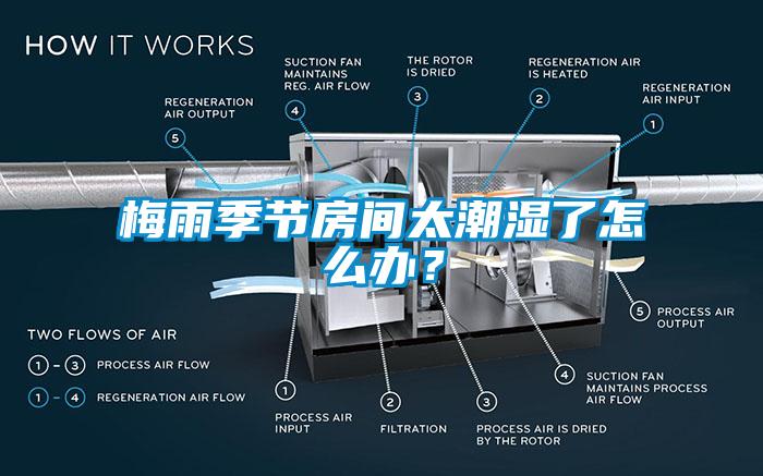 梅雨季節房間太潮濕了怎么辦？