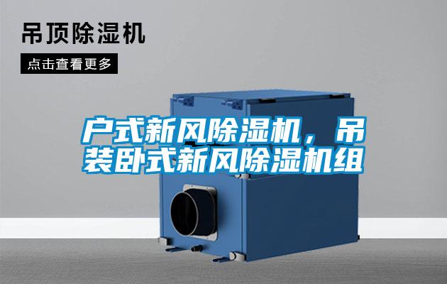 戶式新風除濕機，吊裝臥式新風除濕機組