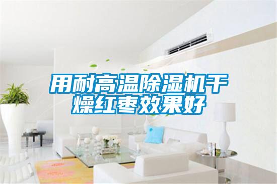 用耐高溫除濕機(jī)干燥紅棗效果好